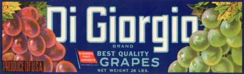 Di Giorgio
